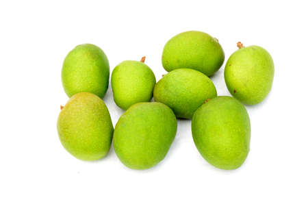 bunch the ripe green mango isolated on white background.の写真素材
