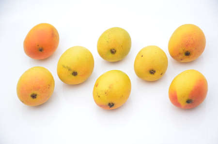 bunch the red yellow mango isolated in white backgroundの写真素材