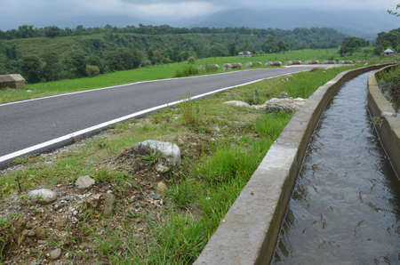 the road way with beautiful green view.の写真素材
