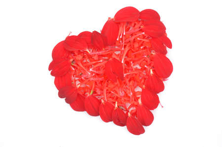 illustration of red flowers love heart isolated in the white backgroundの写真素材