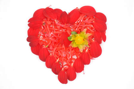 illustration of red flowers love heart isolated in the white backgroundの写真素材