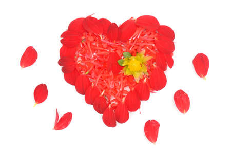 illustration of red flowers love heart isolated in the white background.の写真素材