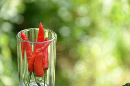 bunch the red ripe chilly in the glass on the green background.の写真素材