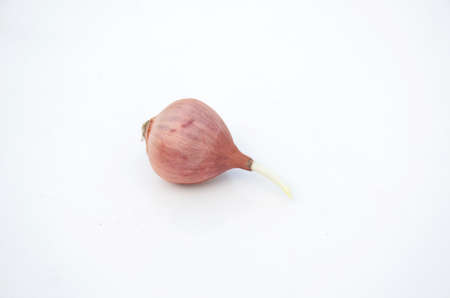 the red green onion soil heap isolated on white background.の写真素材