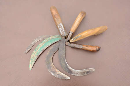 bunch the old paddy cutting curves decorative on the brown background.