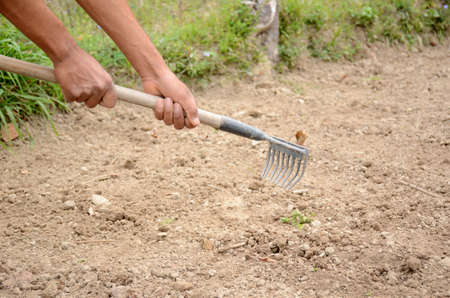 the farmer with rake made the clay of farm.の写真素材