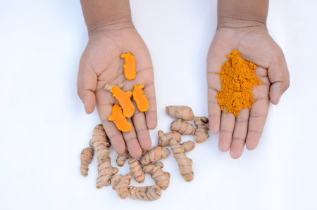 bunch the brown yellow turmeric, powder, hold on hands isolated on white background.の写真素材