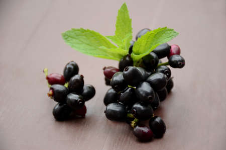 closeup blackberry fruit with green mint over out of focus brown background.の写真素材