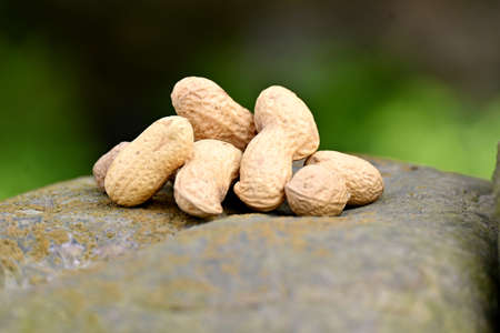 closeup the bunch brown pea nut pods on the stone over out of focus green brown background.