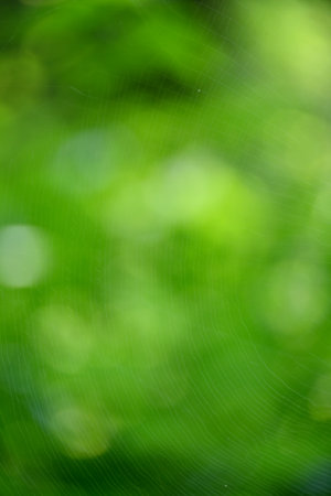 closeup the green brown color soft focus natural green brown background.