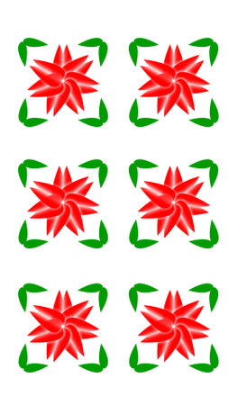 closeup the bunch red white flower with green leaves art on the white background.の写真素材