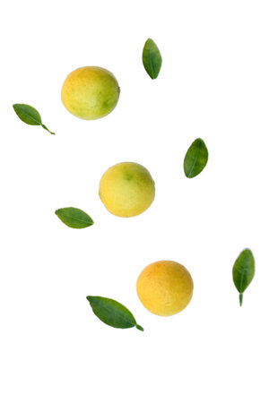 closeup the bunch ripe yellow green lemon fruit with green leaves and mint leaves on the white background.の写真素材