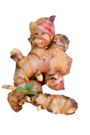 closeup the ripe maroon brown ginger on the white background.の写真素材