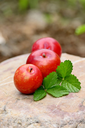 closeup the bunch ripe red yellow plum fruit with green leaves soft focus natural brown background.の写真素材