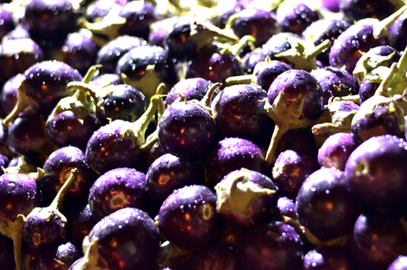 fresh brinjal or eggplant having water droplets reday to sold in a vegetable storeの写真素材
