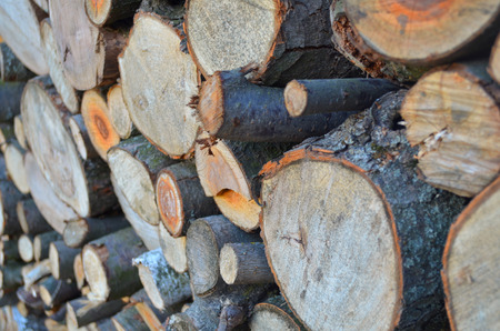 Background of firewood stacked in the woodpile