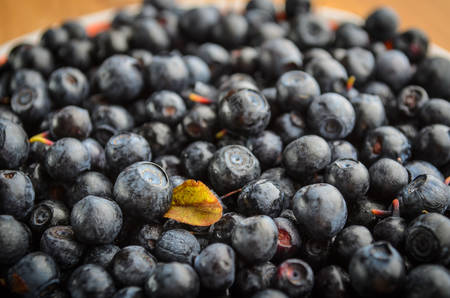 Fresh Berries - Blueberries background closeupの写真素材