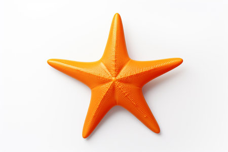 Orange starfish isolated on white background. 3D illustration. Top view.の素材