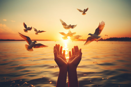 Photo pour Silhouette of hands with flying seagulls at sunset - image libre de droit