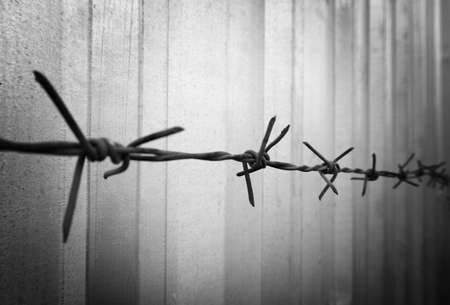 barbed wireの写真素材