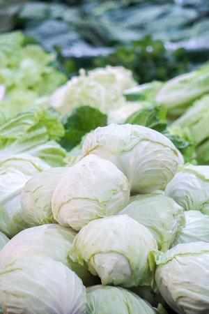 Group of green cabbages at market in Thailand.