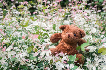 Teddy Bear toy alone in the garden. - image