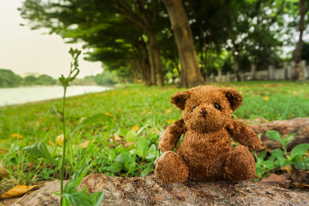 Teddy Bear toy alone in the garden. - imageの写真素材