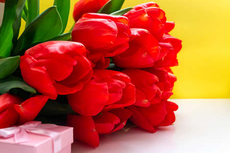 Greeting card format. Bouquet of red tulips close-up and gift box, yellow background.の写真素材