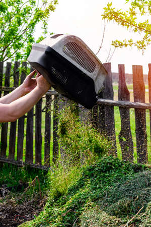 Man's hands pour fresh cut grass from the mower's basket onto the compost heap. Composting grass to...