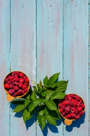 Vertical photo with place for your text, ripe raspberries in a cup on a light blue wooden...