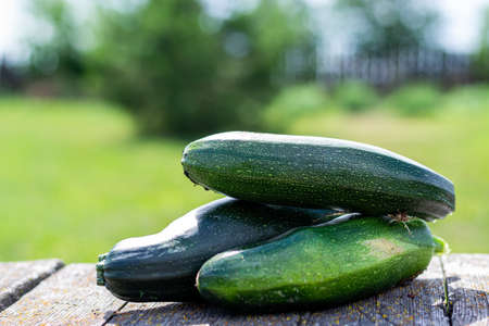 Harvest green fresh zucchini on a wooden table, rustic style, horizontal photo.の写真素材