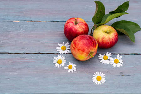 Still life in a rustic style, fresh harvest apples lie on a wooden blue background with chamomile flowers, place for text, copy space.の写真素材
