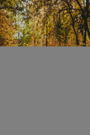 Landscape autumn view of city park, vertical photography from ground level with selective focus.