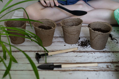 The concept of home gardening, growing seedlings in the spring season, On a light wooden background....
