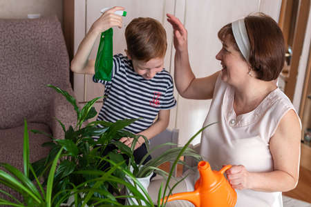 Grandmother and her little grandson red-haired boy 6-7 years old watering flowers together, family fun. The family is engaged in gardening at home. The concept of spring care for home flowers.の写真素材