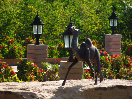 Black stone camel in a decorated garden with plants and flowersの写真素材