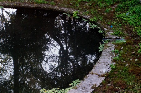 Artificially created pool round a hot water spring in the forest. The reflection shows the trees and...