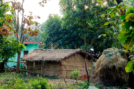 Thatched hut surrounded by trees in a village in Jim Corbett national park. Such homes are common in rural places in Indiaの写真素材