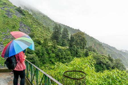 Young indian girl looking towards the beautiful plant covered foggy cloudy hills in himachal pradesh