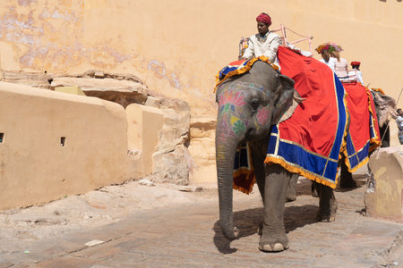 Elephants crossing narrow mountain path in front of the amber fort in jaipur with people roaming around enjoying the architecture of this landmarkのeditorial素材