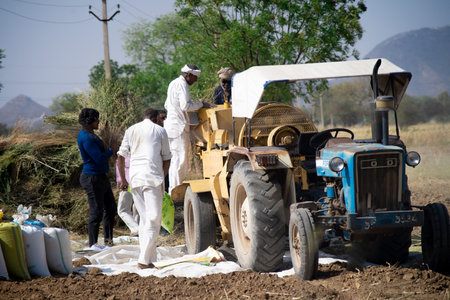 farmers in traditional clothes loading grain into a tractor where it is seperated from the husk and the husk is blown out from the side and the grain collected for sellingのeditorial素材
