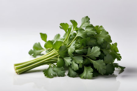 Coriander on a white background, close-up.の素材