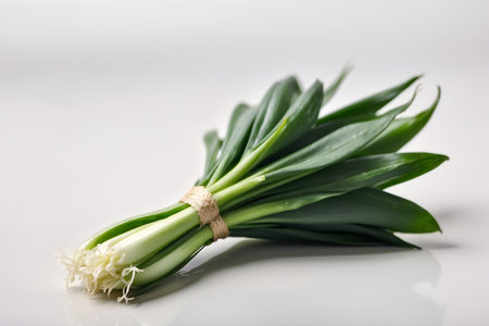 Bunch of fresh spring onions on white background. Shallow dof.の素材