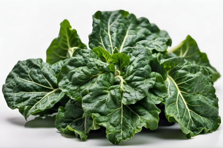 Close up of fresh Collard greens isolated on a white background.の素材