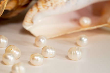 pearl beads lie in a seashell shell, close up photoの写真素材