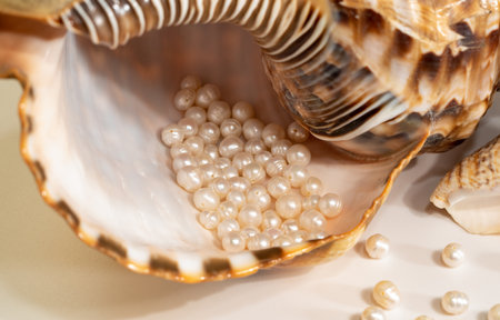 pearl beads lie in a seashell shell, close up photoの写真素材
