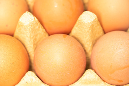 few yellow eggs in a tray close up