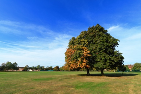 Cranfield University 1の写真素材