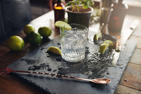 Close up of glass of a freshly prepared gin and tonic with lemon slices and spoon on the counter. Close up of glass of a freshly prepared gin and tonic with lemon slices and spoon on the counter.