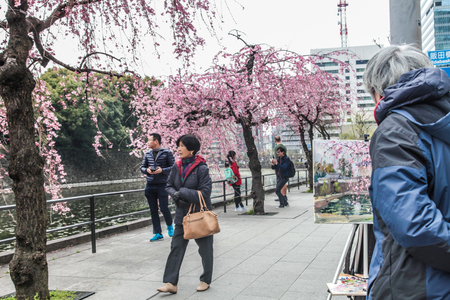 Japanese artist painting cherry blossom at street | Painter lifestyle in Tokyo Japan on 31 March 2017.のeditorial素材